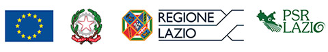 Regione Lazio Unione Europea