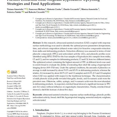 Phenols Extraction from Sorghum Byproducts: Upcycling Strategies and Food Applications