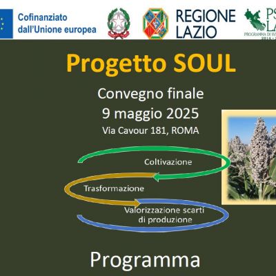 Convegno finale del progetto “Soul” – 9 maggio 2025