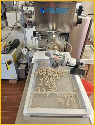 Estrusione della pasta di sorgo 1