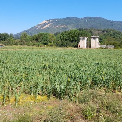 Foto AZ Sonnina e Monti Simbruini_Genazzano23_7_2024