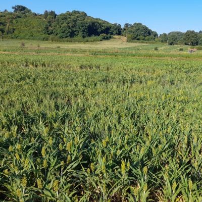 Foto AZ Sonnina e Monti Simbruini_Genazzano28_2024
