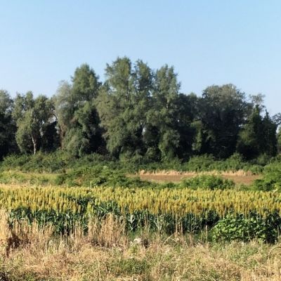 Foto AzLaCastellaccia_Montelibretti18_7_2024