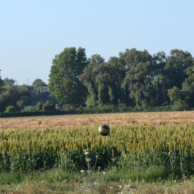 Foto AzLaCastellaccia_Montelibretti23_7_2024_a