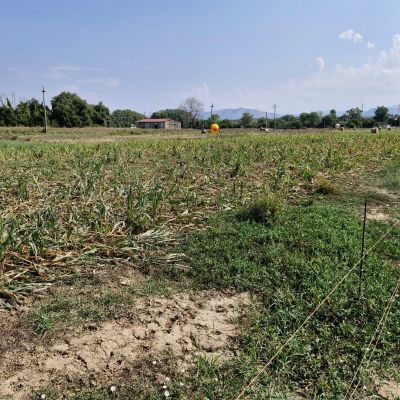 Foto AzLaCastellaccia_Montelibretti30_8_2024