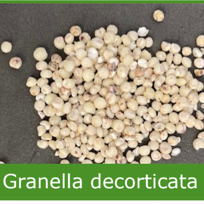 Granella decorticata di sorgo