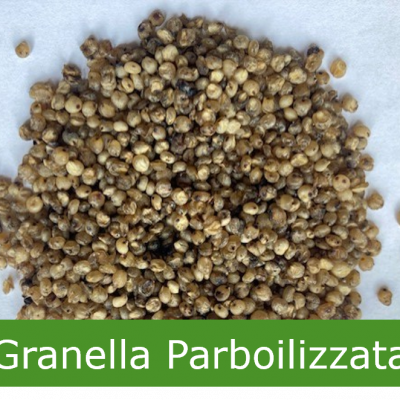 Granella parboilizzata di sorgo