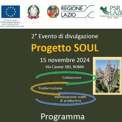 2° Evento di divulgazione del progetto “Soul” – 15 novembre 2024